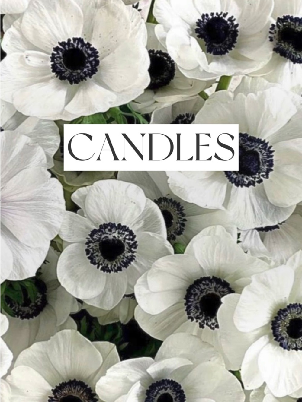 Candles